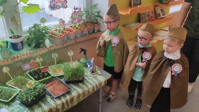 Витаминный огород посадили без хлопот