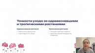 Почему цветы вянут? Узнай, как избежать ошибок!