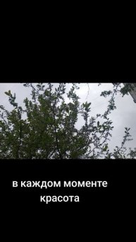 мысли вслух