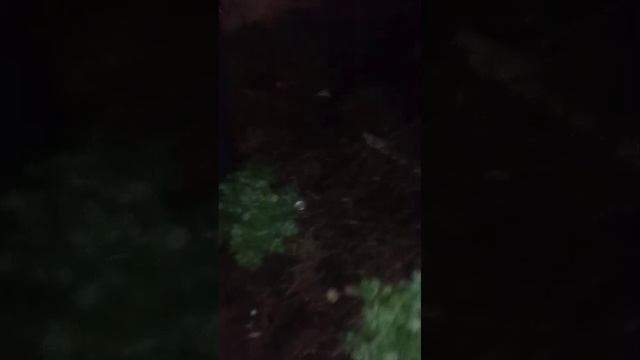 Ночую у бомжей