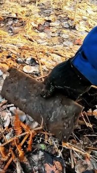 Ура сезон открыт! первые находки!