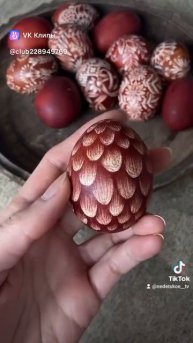 Яйца дракона!