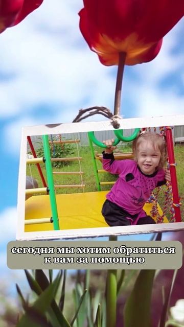 Фонд Феодора Болгарского