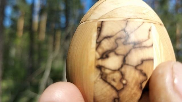 Шкатулка в весеннем лесу в дупле сосны