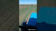 борона ротационная бмр 5.6