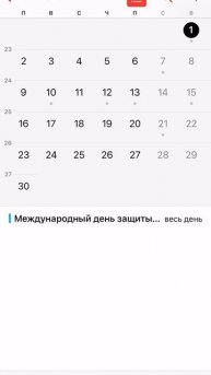 Ошибка дата выдачи Лемана Про
