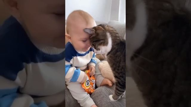 video_9828988816052.mp4