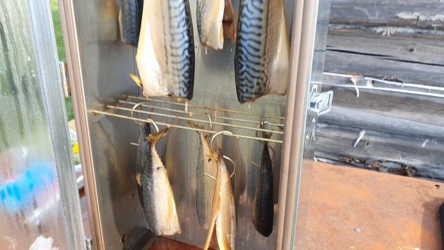 Скумбрия холодного копчения