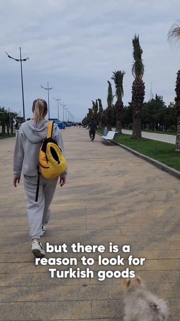 🇬🇪 Живёшь в Грузии с авто? Это надо знать