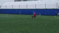 1 Отл. КЧК Диктум Фактум ВИЕСЛАВА +++ №21 / КЧК КОСТРОМА 26 апреля`25 В.Хижняк Моно н/о