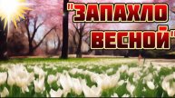 БУТЫРКА - _ЗАПАХЛО ВЕСНОЙ_