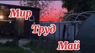 01.05.2025❤️Высадили перцы, скосили траву/ Ударно поработали