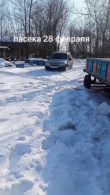 1000035100.mp4