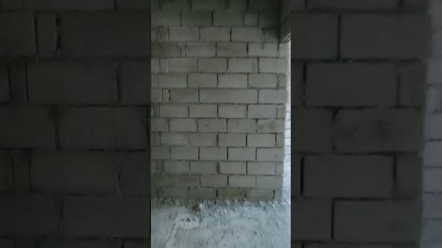1001420647.mp4