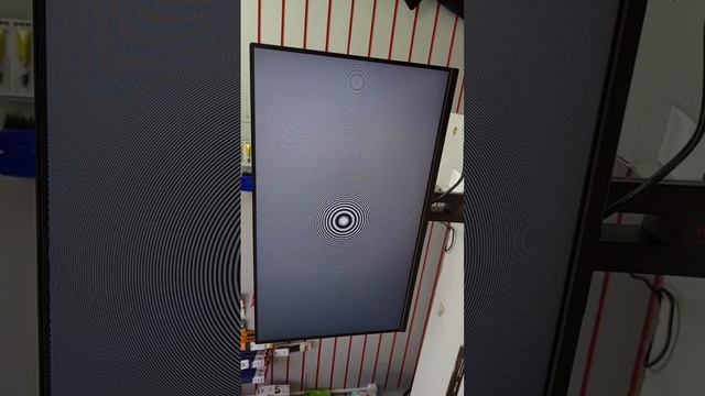 1000002700.mp4