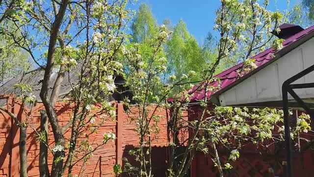 Радостные события и встречи. Летим в Дубай. Совсем другая жизнь. Семья в деревне.
