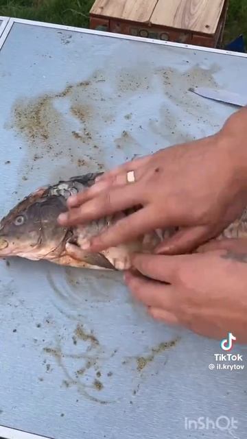 Рыба у огня Походная 🔥 🐟