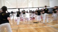 Capoeira slow-mo