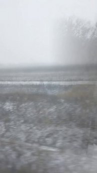 Воронежская область зимним снегом засыпана. Дорога.