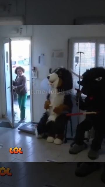 Интересная ветклиника.mp4