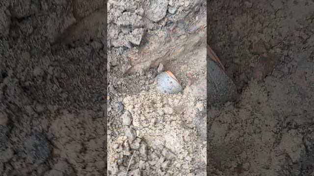 Монтаж септика ЭКО-Л 3 самотёком в городе Нерехта Костромской области