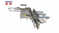 Zenyer 109 egg grader with auto vacuum loader 27000 eggs/hour