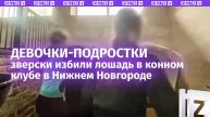 Жесткие кадры, 18+! Малолетние живодерки истязали лошадь в конном клубе в Нижнем Новгороде