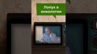 лопух при онкологии