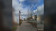 3 мая 2025г. Санкт-Петербург. мкр Славянка.