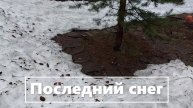Последний снег был в апреле (7)