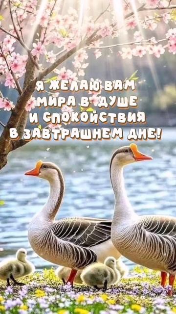 С добрым утром!