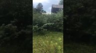 Дача Богашево