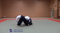 27 Aikido Katadorimenuchi Kokyonage Shishiya Sensei Tokyo 2015