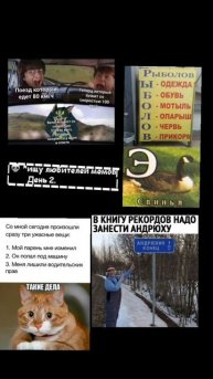 Ищу любителей мемов , часть 2