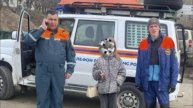 На Камчатке школьница гуляла в лесу и заблудилась