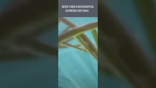 ЧТО ЗНАЧИТ ГЕНЕТИКА ДЛЯ ЧЕЛОВЕЧЕСКОГО РОДА? БЕЛЯКОВА СВЕТЛАНА