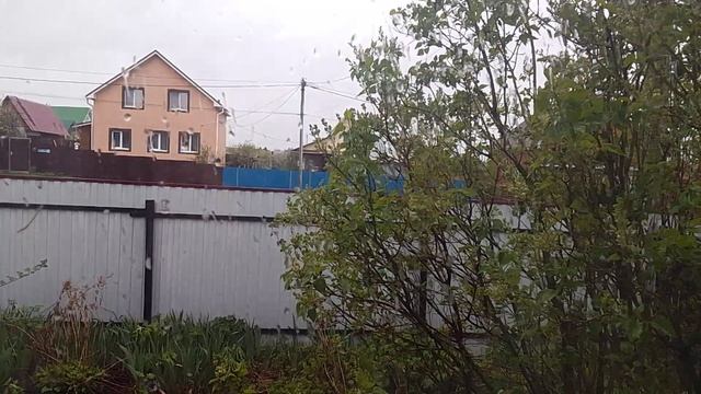 У Нас Сейчас Идут Дожди Со Снегом От 03 05 2025 Года.