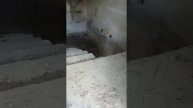 заброшка