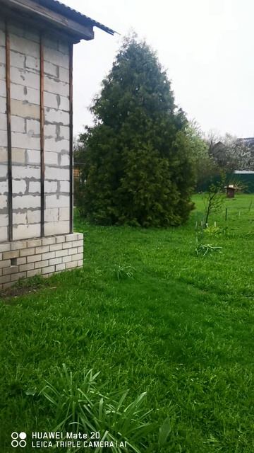 VID_20250501_094206.mp4