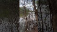 ЗВУКИ ПРИРОДЫ, иногда хочется выбраться из городской суеты на природу, подумать, отдохнуть…