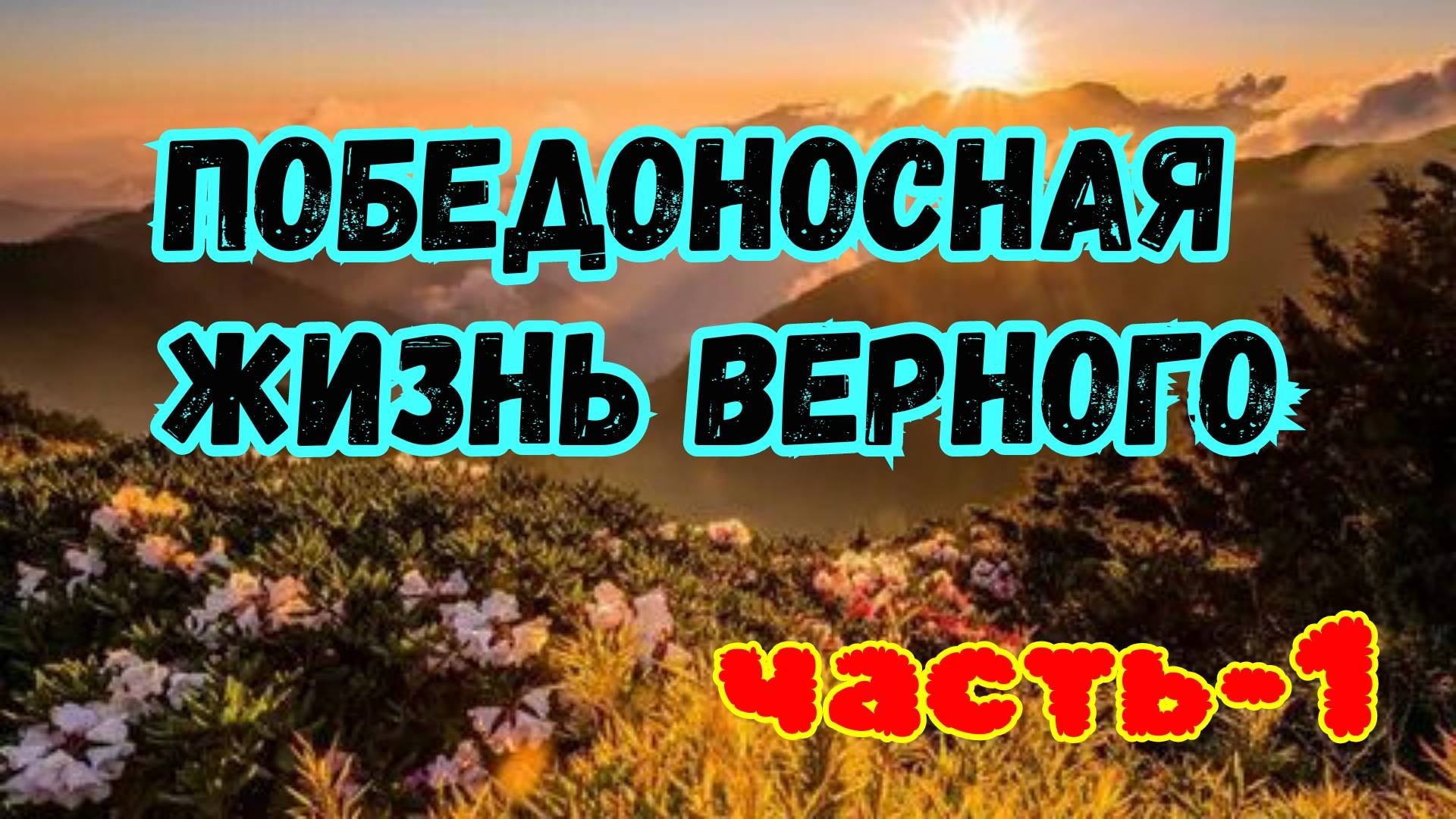 Победоносная жизнь Верного. Часть-1. 03.05.25г.