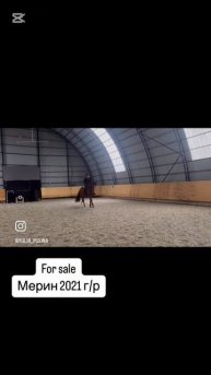 copy_74BAD7BA-8563-442B-AB2B-423D5204C1C0