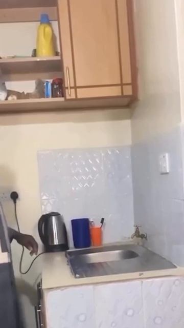 Он и сам в шоке 🤣