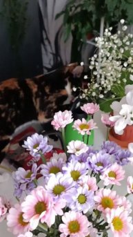 цветочки