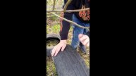 "Наша база"