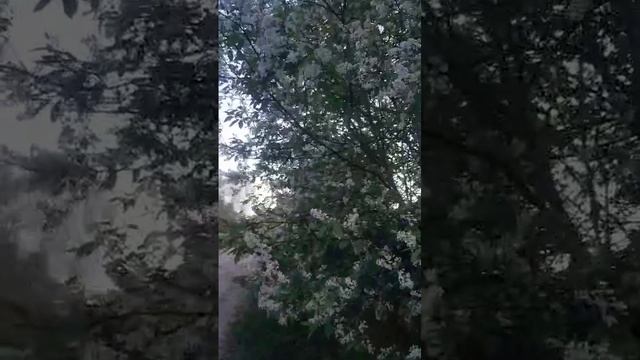 Всех приветствую, друзья