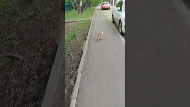 Ну куда же без Сени😁