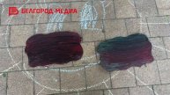 Весна в Белгороде продолжает радовать и вдохновлять жителей города