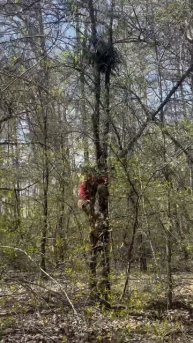 Орнитология — это вам не в парке птичек кормить