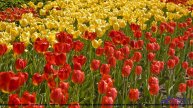 ❤ ♥ ❤ Песня, которая вдохновляет миллионы - The Price Of Success (Short Version) -- BoDleasons -- Co